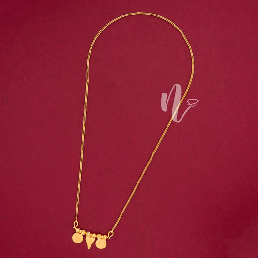 gold plated coin thali